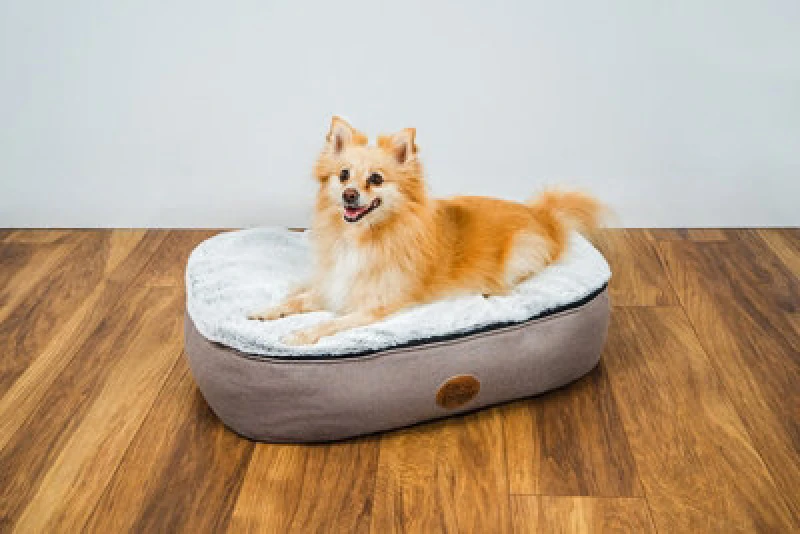 Image of Snug & Cosy Pets The Snug And Cosy Oval Faux Fur 110Cm X 78Cm X 15Cm