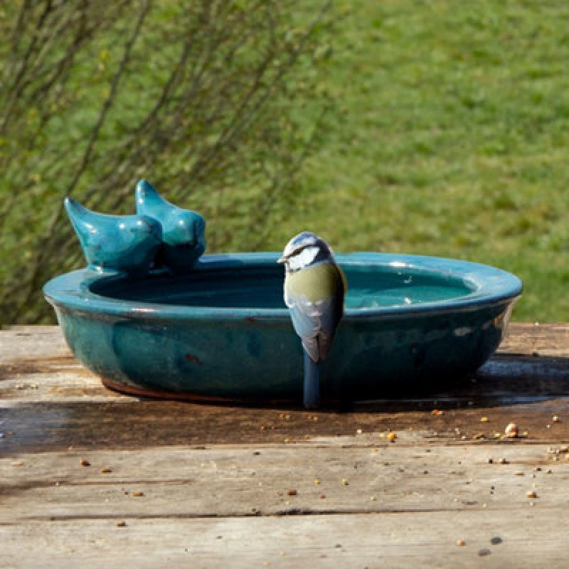 Image of Fallen Fruits Bird Bath Ceramic Round (Petrol Blue)