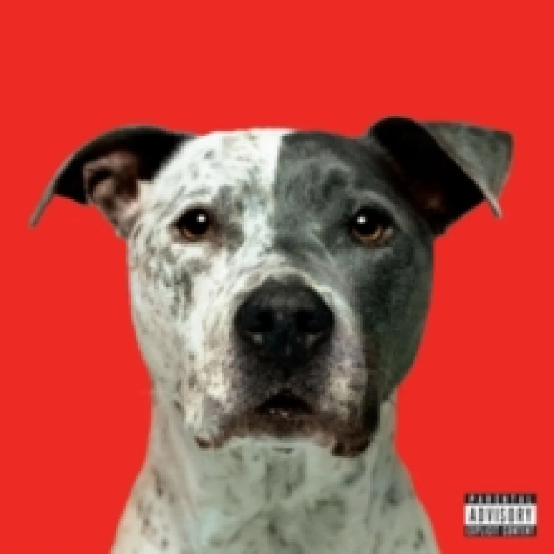 Image of Hanni El Khatib - Flight [CD / Album] Music CDs - Music CD