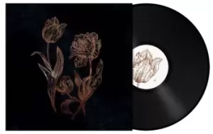 Image of Cycles of Asphodel by DVNE Vinyl Album