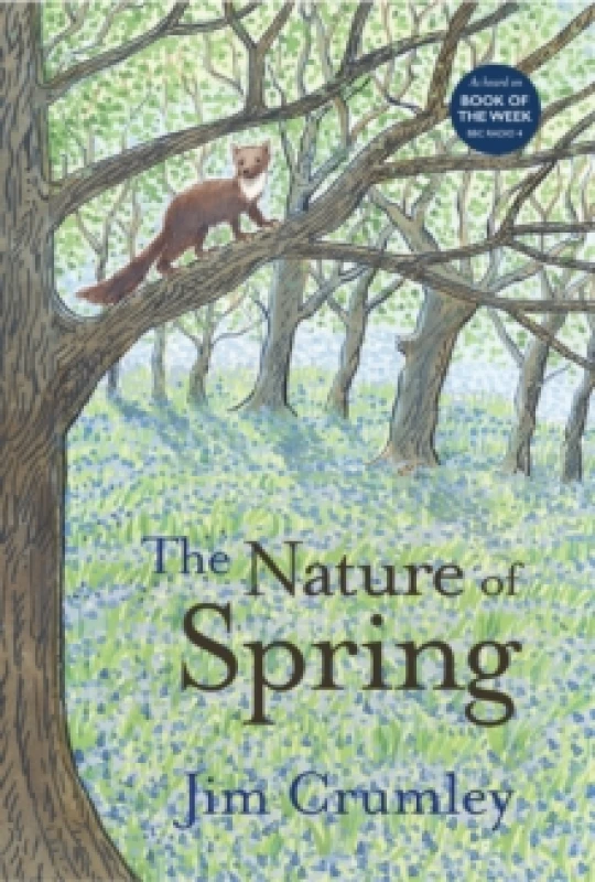 Image of The Nature of Spring Paperback / softback