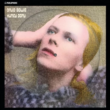 Image of David Bowie - Hunky Dory Picture Disc Vinyl