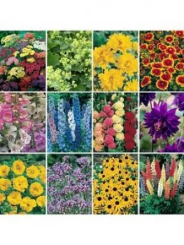 Image of Complete Hardy Garden Perennial Collection - 24 Plugs