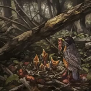 Image of Step Into the Light by The Acacia Strain Vinyl Album