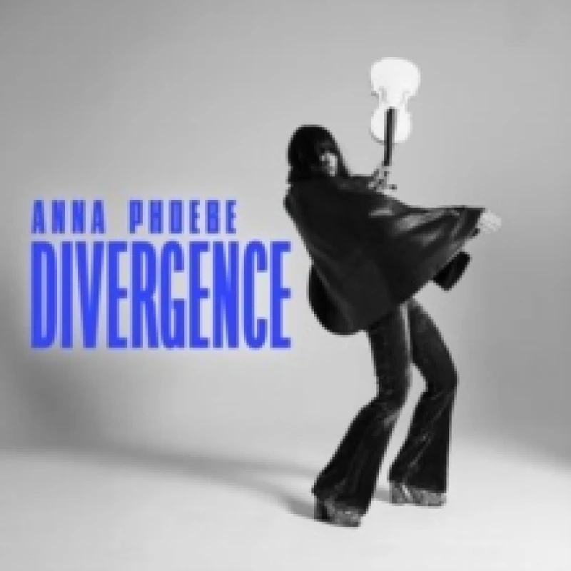 Image of Divergence Vinyl