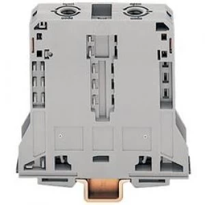 Image of Continuity 25mm Pull spring Configuration L Grey