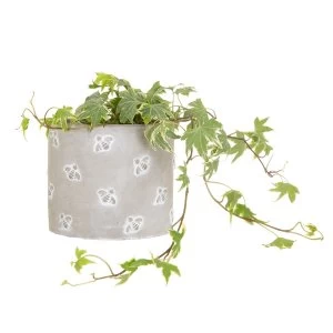Image of Sass & Belle Queen Bee Cement Planter