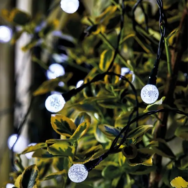 Image of Smart Garden Ultra Solar String Lights - 50 Orbs