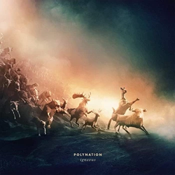 Image of Polynation - Igneous Vinyl