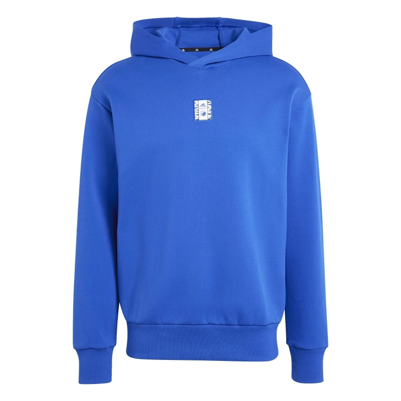 Image of adidas FC Copenhagen Seasonal Fleece Hoodie Adults Blue male S
