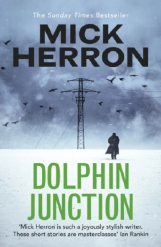 Image of Dolphin Junction Paperback / softback