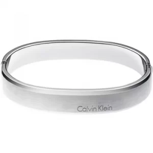 Image of Mens Calvin Klein Stainless Steel Large Straight Bangle