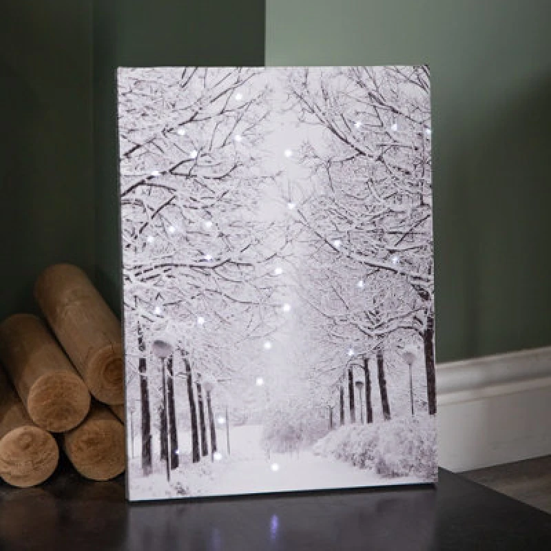 Image of Samuel Alexander 40 X 30Cm Battery Operated Light Up Fibre Optic Winter Avenue Christmas Wall Canvas