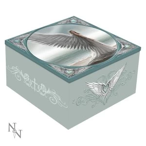 Image of Spirit Guide Mirror Box