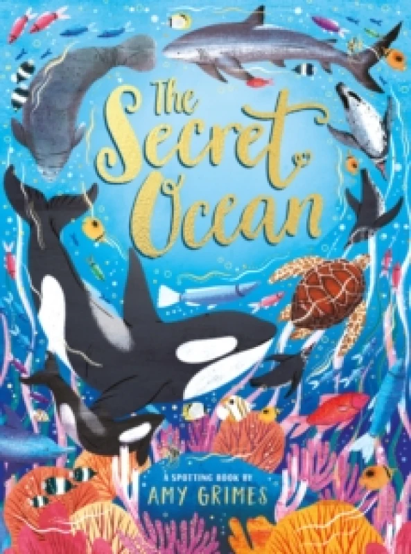 Image of The Secret Ocean Hardback