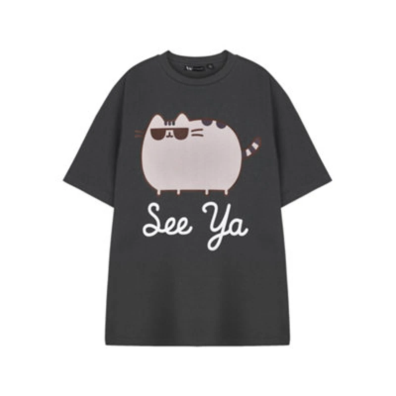 Image of Pusheen Pusheen Short Sleeved T-Shirt in Grey Size: 3X-Large Grey XXXL Unisex 5063203904099