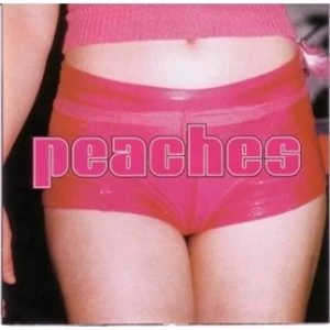 Image of Peaches - The Teaches Of Peaches Vinyl