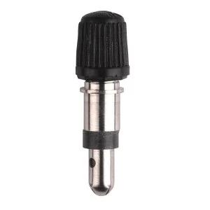 Image of Weldtite Bike Bits Woods Easy Pump Valves (X2)