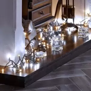 Image of The Winter Workshop - String Lights - 800 LEDs - Warm White/Cool White Mix