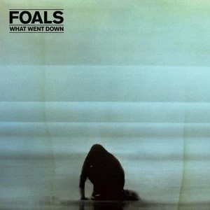 Image of Foals - What Went Down Vinyl