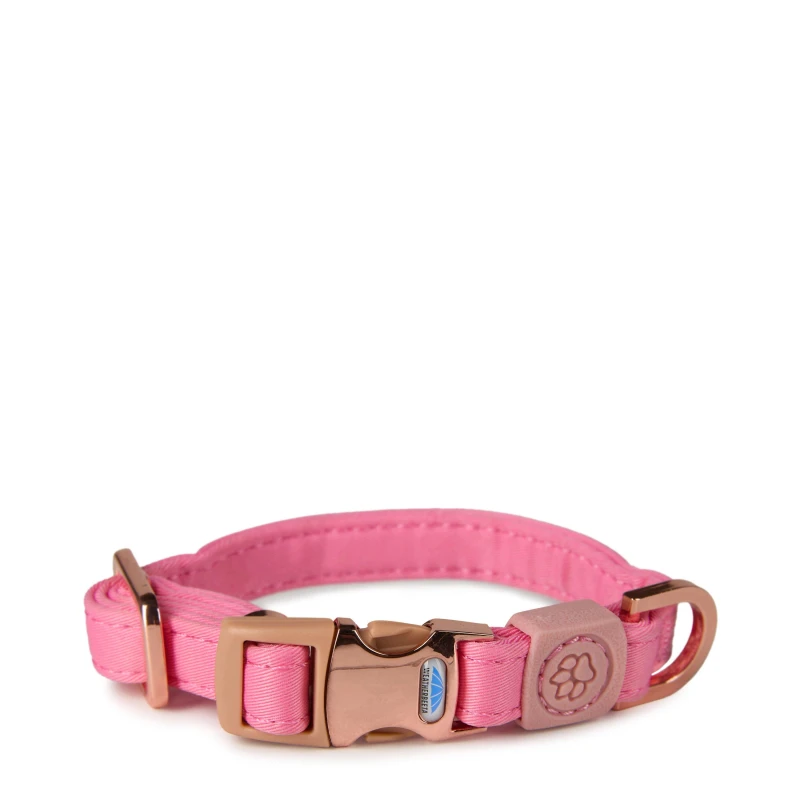 Image of Weatherbeeta Elegance Dog Collar - Pink Pink XS