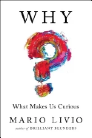 Image of why what makes us curious