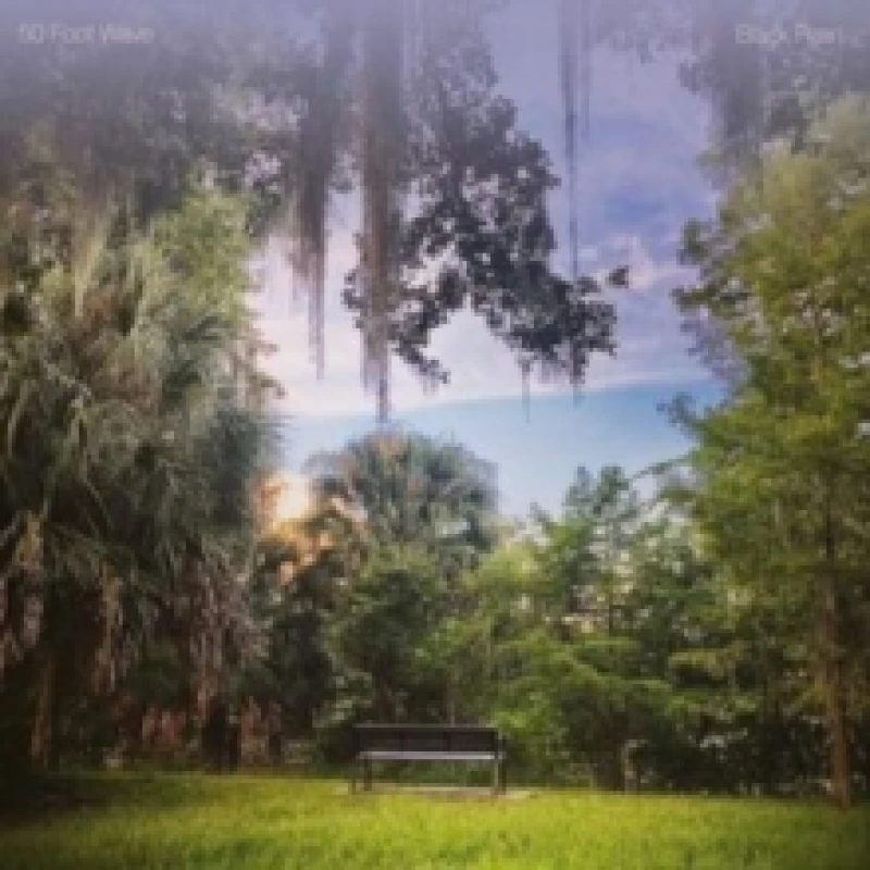 Image of Black Pearl Vinyl