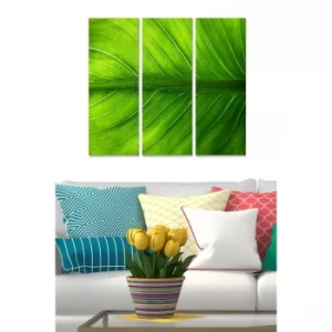 Image of MDF2210973 Multicolor Decorative MDF Painting (3 Pieces)