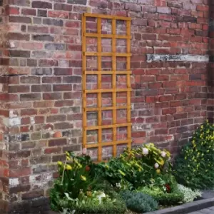 Image of Heavy Duty Trellis - 61cm - Pack of 4
