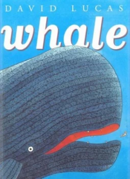 Image of Whale by David Lucas Paperback