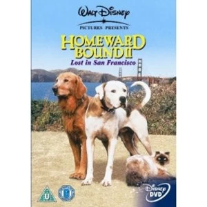 Image of Homeward Bound 2 Lost In San Francisco DVD