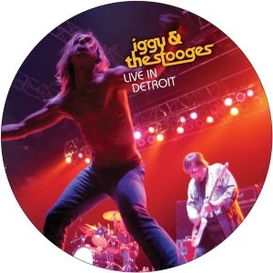 Image of Iggy & The Stooges - Live In Detroit 2003 (Picture Disc) Vinyl