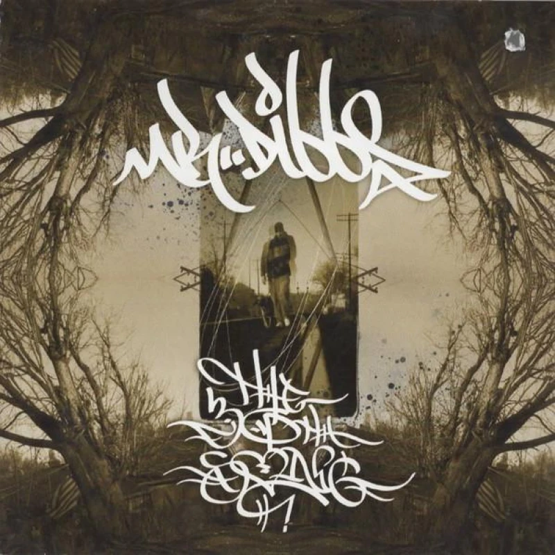 Image of Mr. Dibbs - The 30th Song CD Album - Used