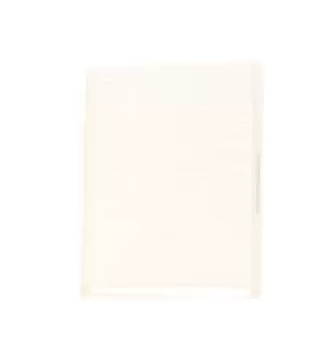 Image of RIDEX Pollen filter 424I0058 Filter, interior air,Cabin filter FORD,FIAT,CHRYSLER,KA (RU8),PANDA (169),500 (312),500 C (312),Ypsilon Schragheck