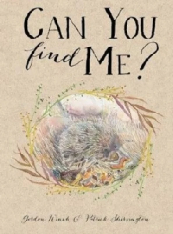 Image of Can You Find Me? Paperback / softback