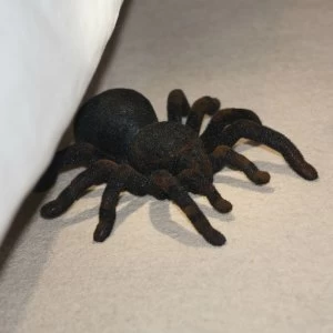 Image of The Source Remote Control Tarantula