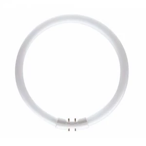 Image of Bell 22W CFL T5 2GX13 Circular Tube Bulb - Daylight