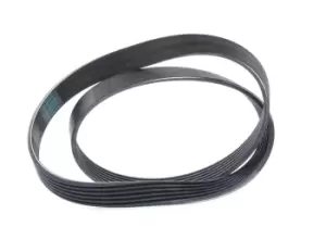 Image of Bosch V-ribbed belt 1 987 946 000 Serpentine belt,Auxiliary belt VW,AUDI,FORD,Golf V Schragheck (1K1),TOURAN (1T1, 1T2),Passat Variant (3C5)