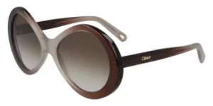 Image of Chloe Sunglasses CE 2743S 679