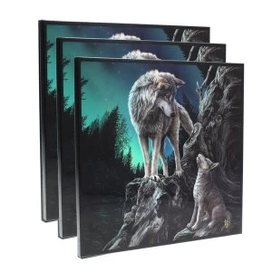 Image of Guidance Lisa Parker (Set of 3) Crystal Clear Picture