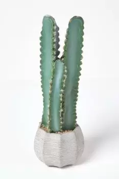 Image of Hylcocereus Artificial Cactus In Decorative Textured Stone Pot