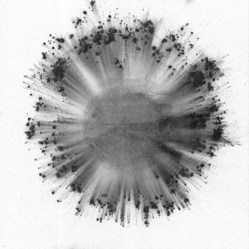 Image of Trentemoller - Obverse Vinyl