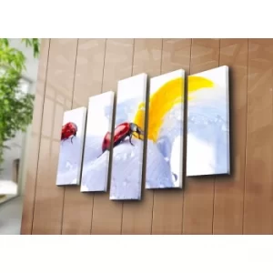 Image of 5PATK-113 Multicolor Decorative Canvas Painting (5 Pieces)