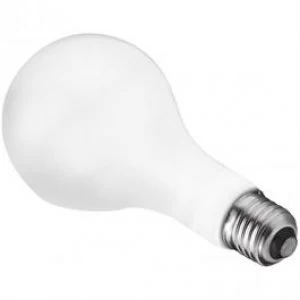 Image of Westcott 500w Photoflood Lamp 220V 550A