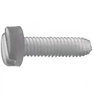 Image of Toolcraft Slotted Cheese Head Screws DIN 84 Polyamide M6 x 20mm Pa...