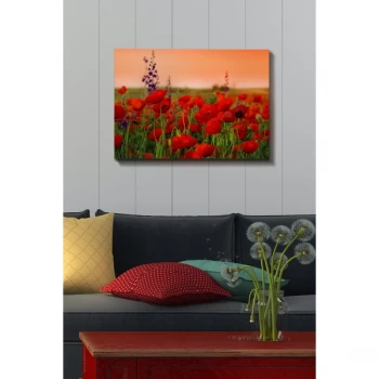 Image of Kanvas Tablo (50 x 70) - 1 Multicolor Decorative Canvas Painting