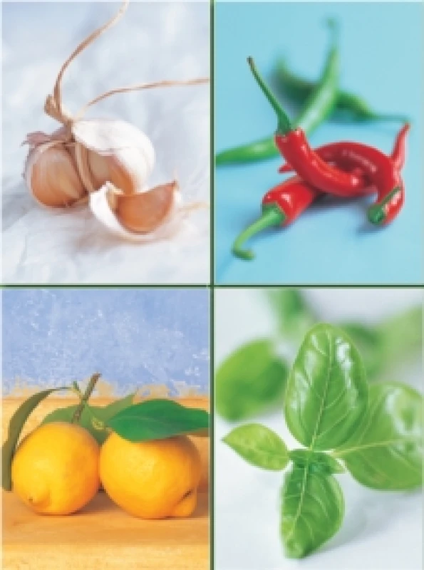 Image of Set of Four Magnetic Notepads: Herbs : A Collection of Handy Notepads with Easy Magnetic Fastening, Contained Within a Decorative Box Paperback / soft