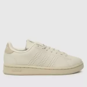 Image of adidas advantage trainers in beige