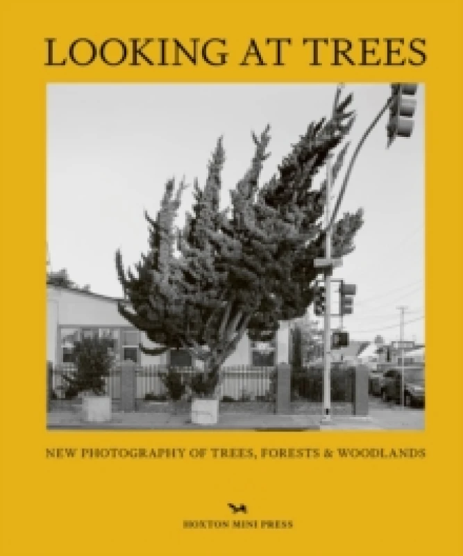 Image of Looking At Trees : New Photography of Trees, Forests & Woodlands Hardback