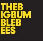 Image of Baby Dee - The Big Bumble Bees (Music CD)